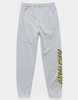 SANTA CRUZ Classic Stripe Slice Boys Sweatpants