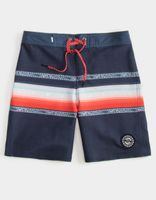 QUIKSILVER Surfsilk Sun Faded Boys Boardshorts