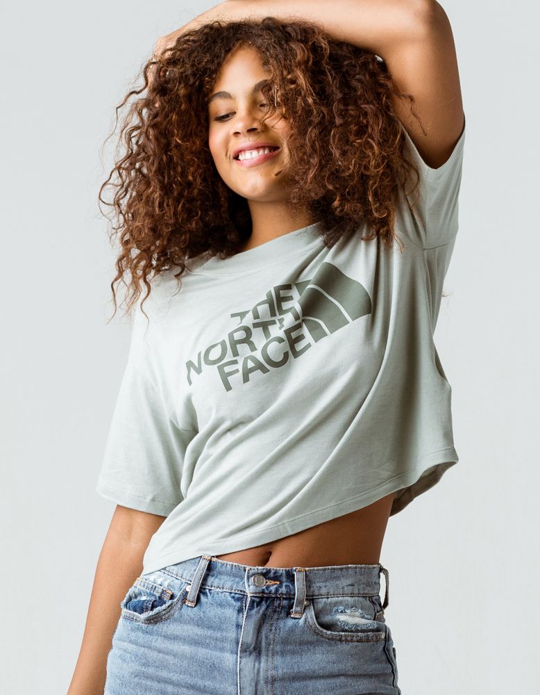 THE NORTH FACE Half Dome Gray Crop Tee