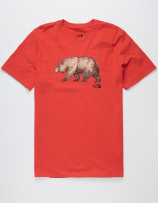 THE NORTH FACE Bear T-Shirt