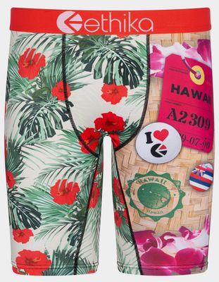 ETHIKA Aloha Ethika Boxer Briefs