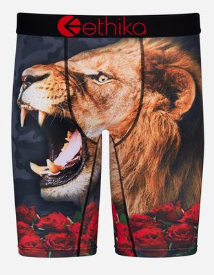 ETHIKA Up Roar Boys Boxer Briefs