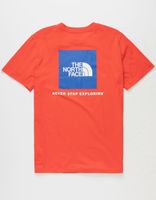 THE NORTH FACE NSE Box T-Shirt