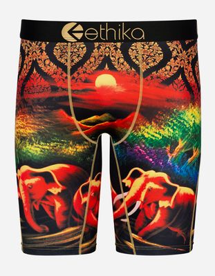 ETHIKA Thai Paradise Boys Boxer Briefs