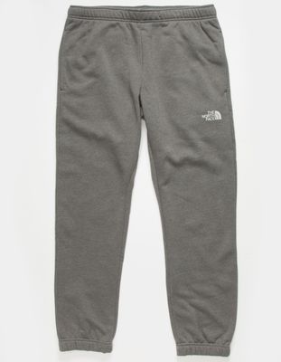 THE NORTH FACE NSE Box Jogger Sweatpants