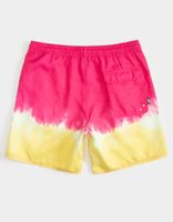 NEFF Double Dip Volley Shorts