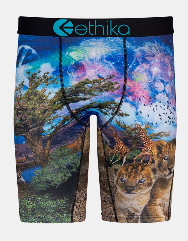 Ethika Kids Kingdom Boxer Briefs