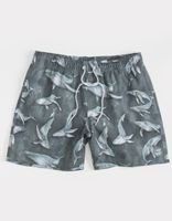 PSYCHO TUNA Whales Volley Shorts