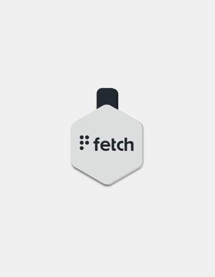 LIFEKEY Fetch Concrete Jungle Pet ID Tag