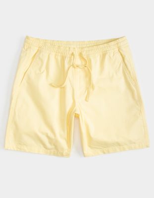 VANS Range 18 Volley Shorts