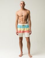 VALOR Bandita Stripe Volley Shorts