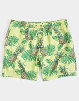 PUBLIC ACCESS Pineapple Punch Volley Shorts