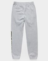 SANTA CRUZ Classic Stripe Slice Boys Sweatpants