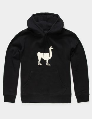 NIKE SB Llama Hoodie