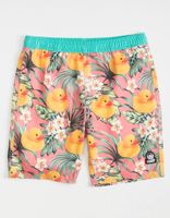 NEFF Flora Duck Hot Tub Boys Volley Shorts