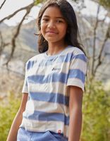 DICKIES Stripe Girls Crop Tee