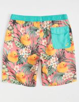 NEFF Flora Duck Hot Tub Boys Volley Shorts