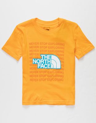 THE NORTH FACE NSE Box Little Boys T-Shirt (4-7)