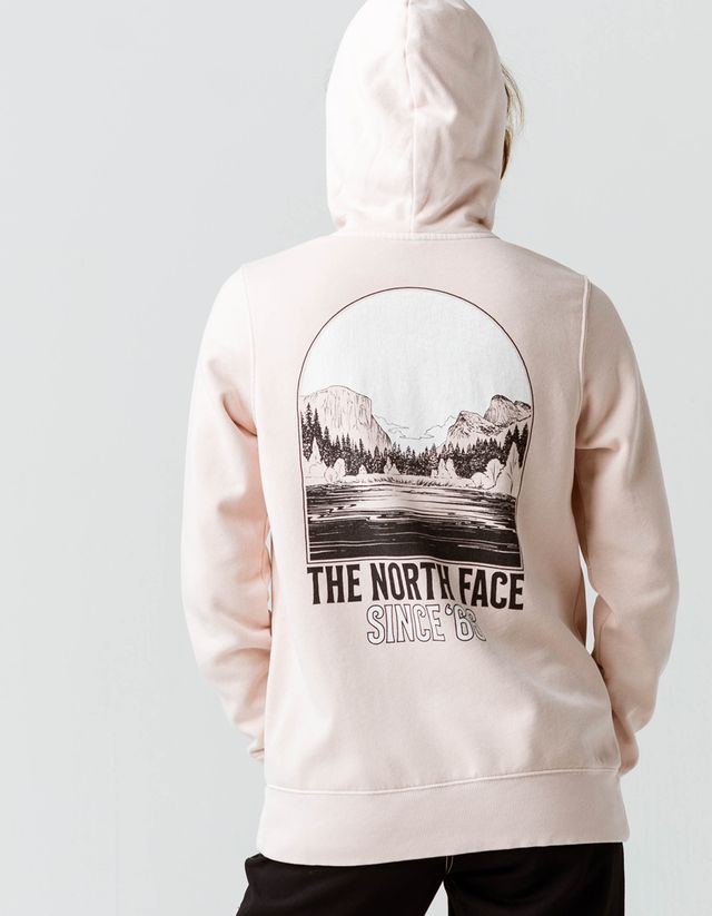 tillys north face hoodie