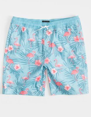 VALOR Flamingo Boys Hybrid Shorts