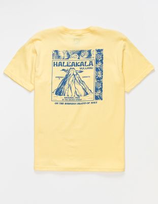 BLUE TIMBER Haleakala Boys T-Shirt