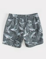 PSYCHO TUNA Whales Volley Shorts