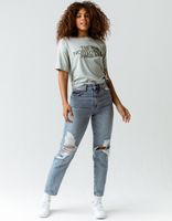 THE NORTH FACE Half Dome Gray Crop Tee