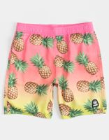 NEFF Pineapple Boys Volley Shorts