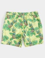 PUBLIC ACCESS Pineapple Punch Volley Shorts