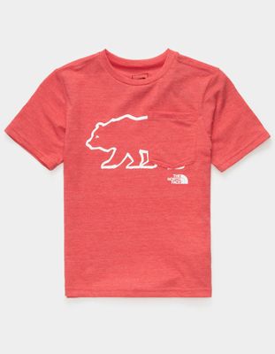 THE NORTH FACE Bear Little Boys Tri Blend Pocket T-Shirt (4-7)