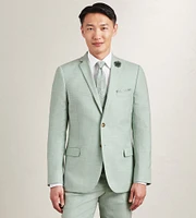 Slim Fit Pale Green Solid Suit