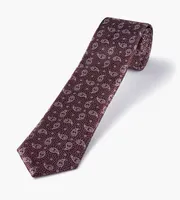 Small Paisley Tie