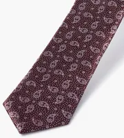 Small Paisley Tie