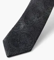 Ombre Paisley Tie