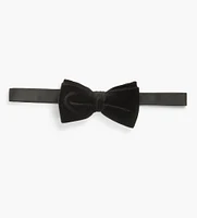 Velvet Bow Tie