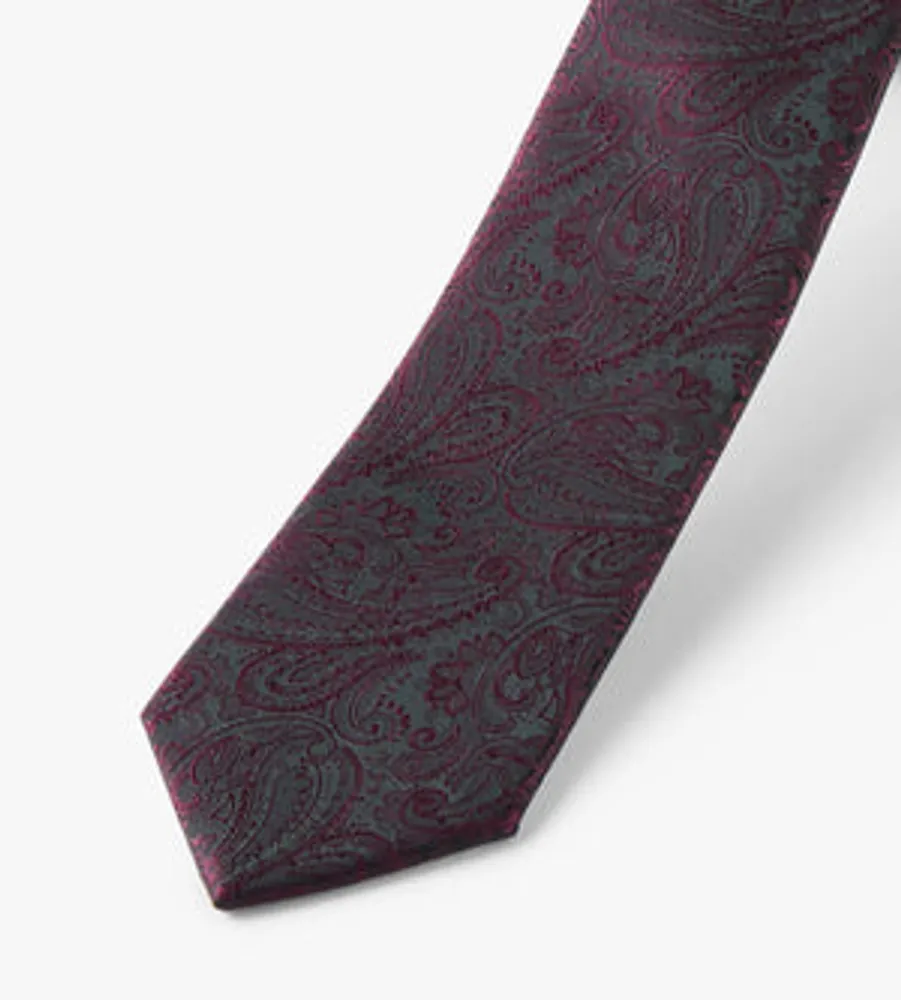 Tonal Paisley Tie
