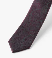 Tonal Paisley Tie