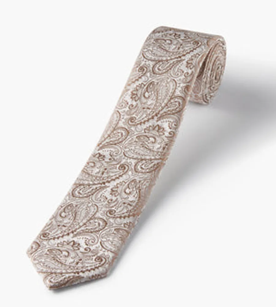 Tonal Paisley Tie