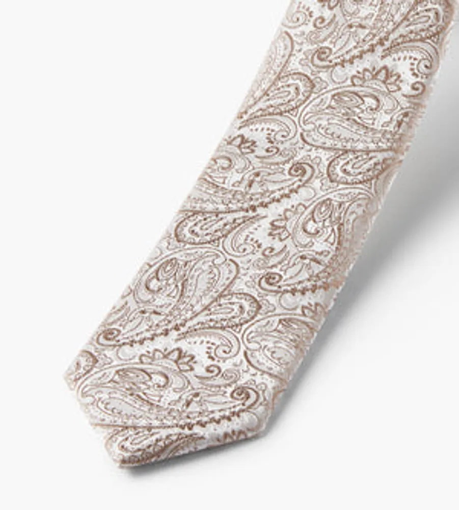 Tonal Paisley Tie