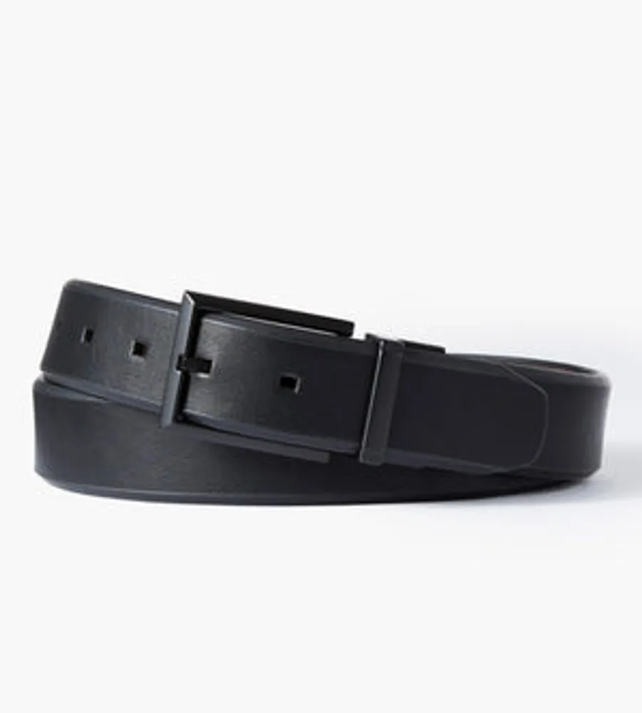 Reversible Belt