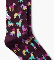 Dogs Socks