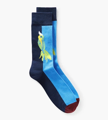 Parrot Socks