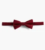 Tonal Paisley Bow Tie