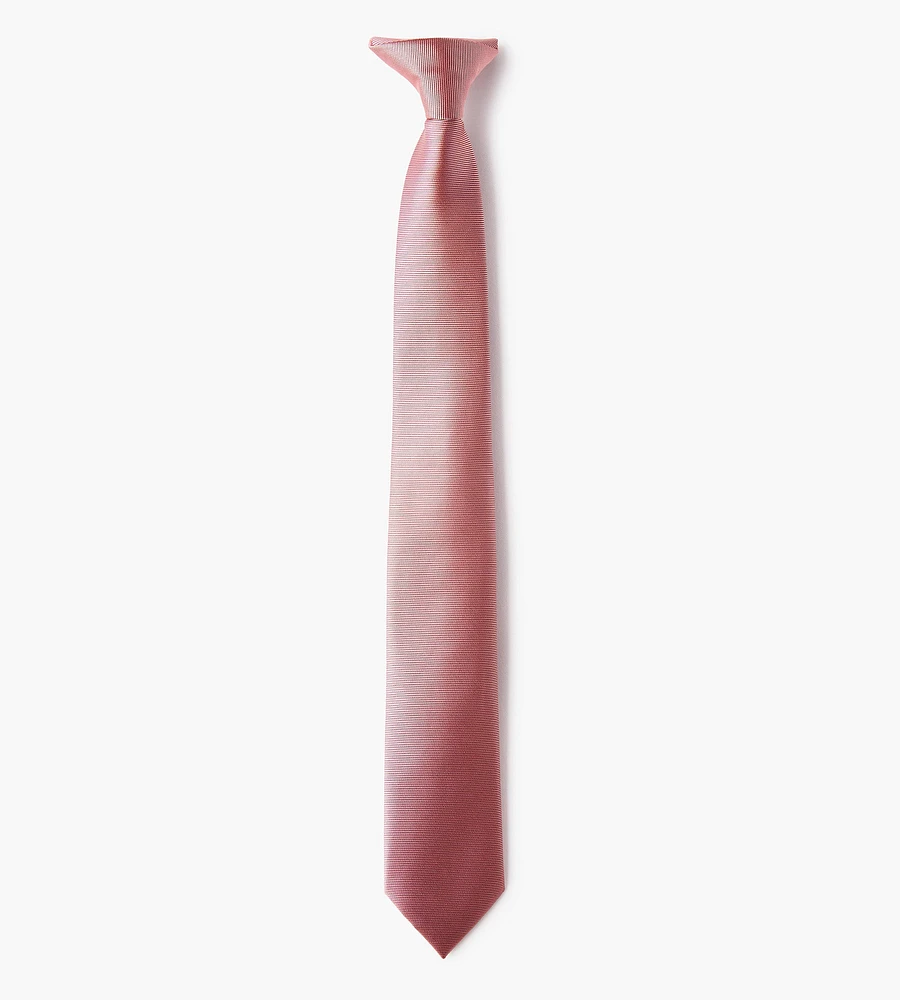 Boys Clip-On 10-inch Tie