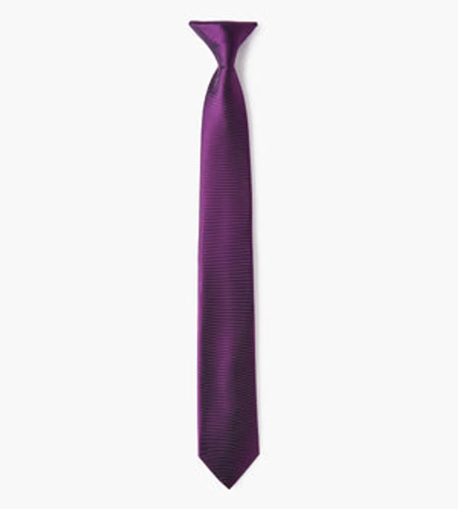 Boys Clip-On -inch Tie