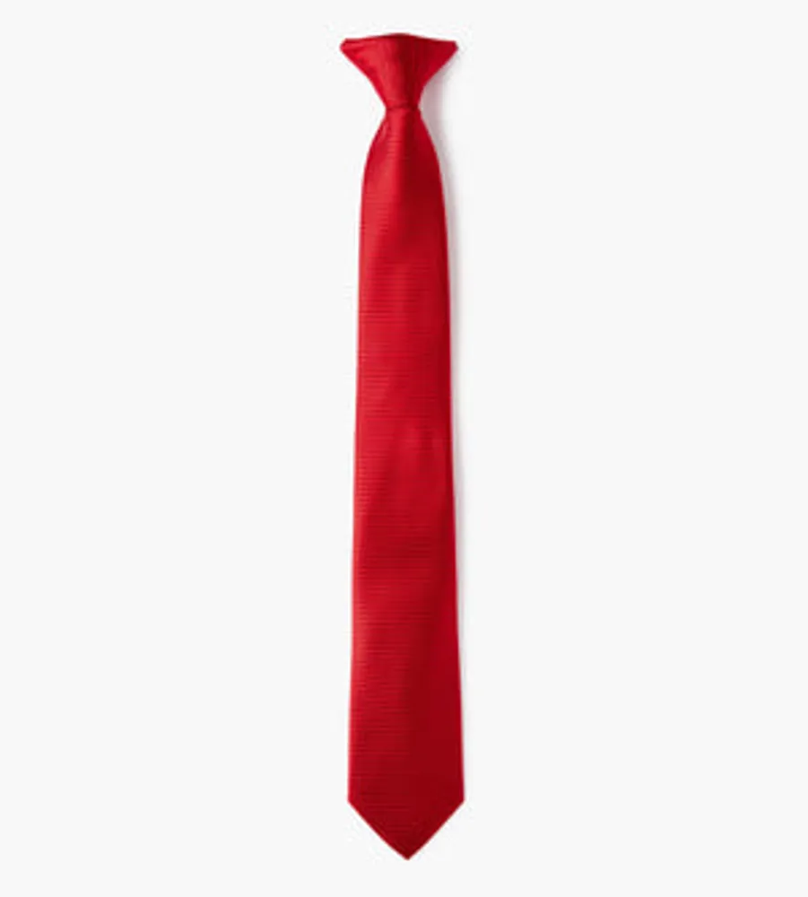 Boys Clip-On -inch Tie