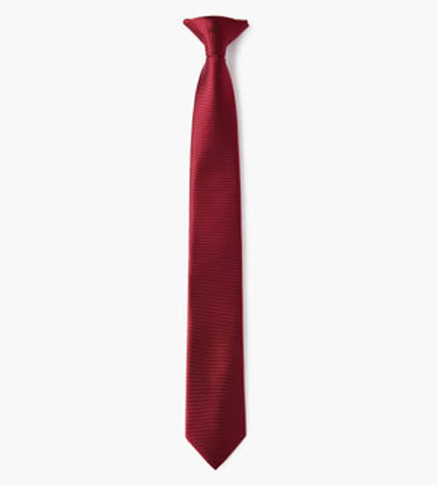 Boys Clip-On -inch Tie