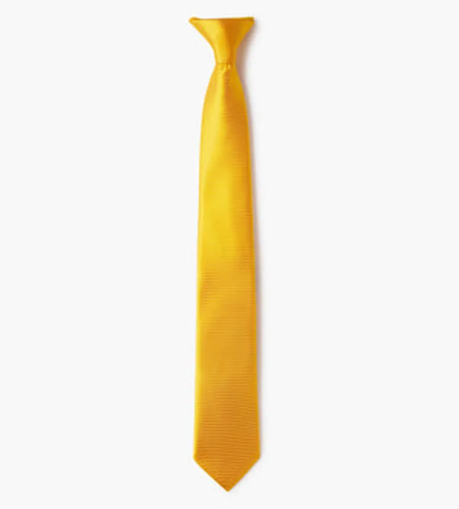 Boys Clip-On -inch Tie