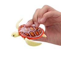 Tortue nageuse robotique Robo Turtle par ZURU