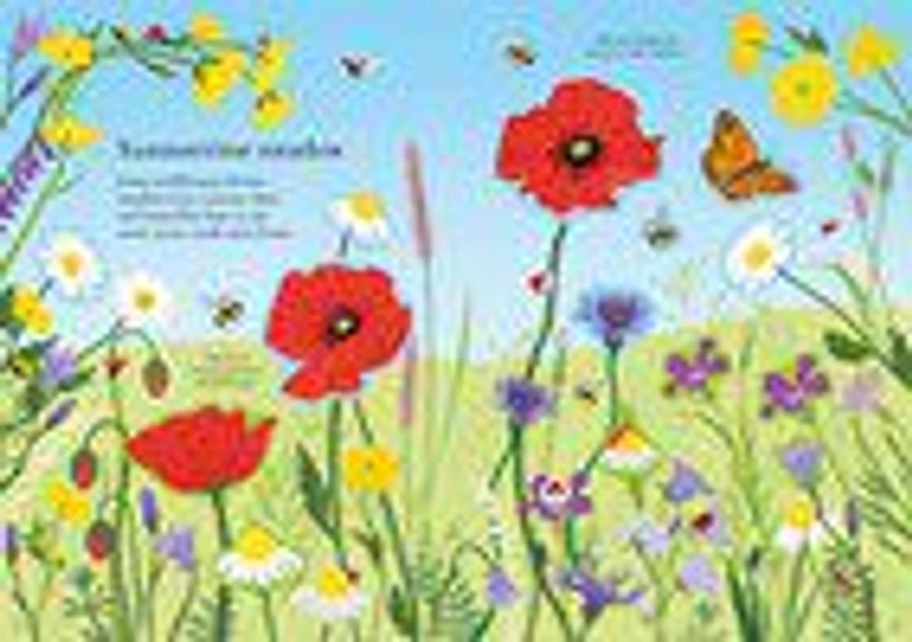 Little First Stickers: Wildflowers - English Edition